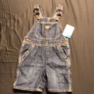 24M Denim Shortalls